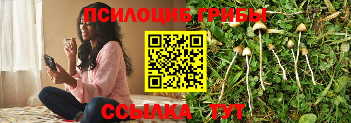Псилоцибиновые грибы Cubensis  где купить наркоту  Похвистнево  Вход с VPN 